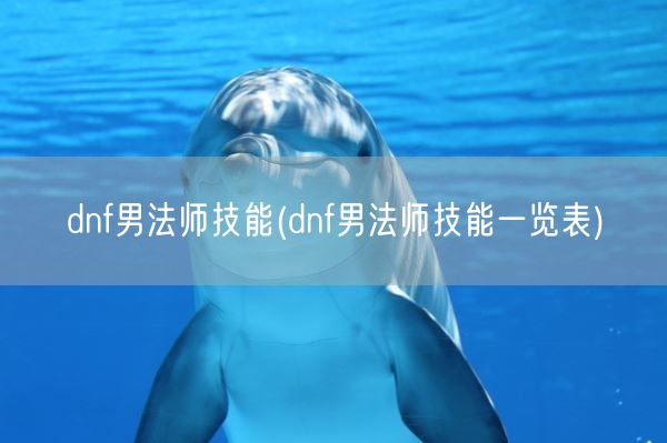 dnf男法师技能(dnf男法师技能一览表)(图1)