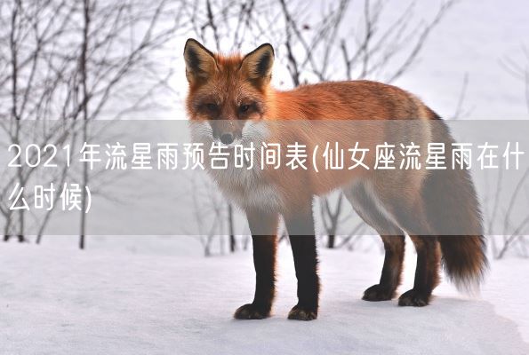 2021年流星雨预告时间表(仙女座流星雨在什么时候)(图1)