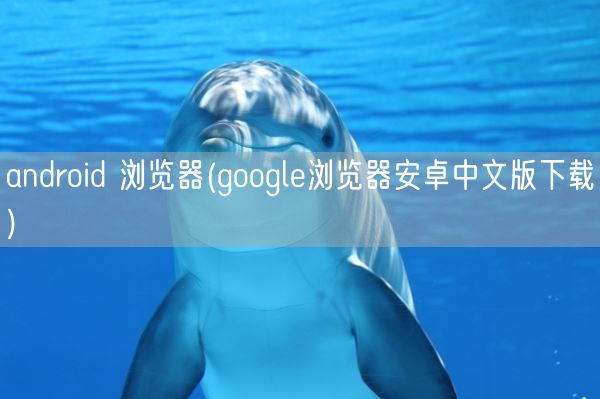 android 浏览器(google浏览器安卓中文版下载)(图1)