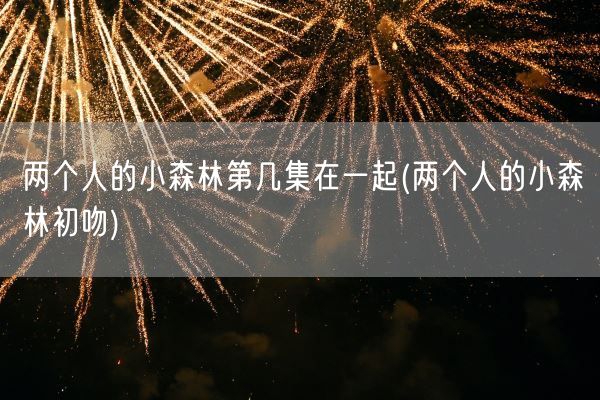 两个人的小森林第几集在一起(两个人的小森林初吻)(图1)