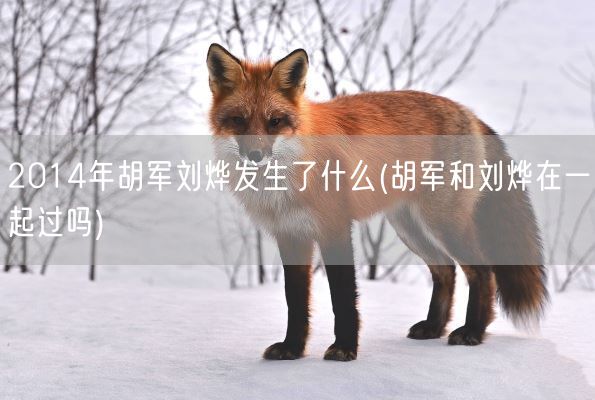 2014年胡军刘烨发生了什么(胡军和刘烨在一起过吗)(图1)