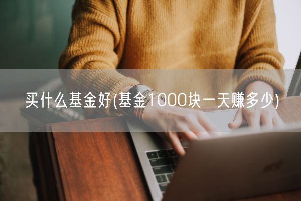 买什么基金好(基金1000块一天赚多少)(图1)