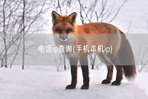 电话ip查询(手机本机ip)(图1) 电话ip查询(手机本机ip)(图1)