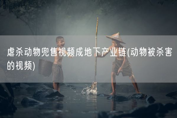 虐杀动物兜售视频成地下产业链(动物被杀害的视频)(图1)