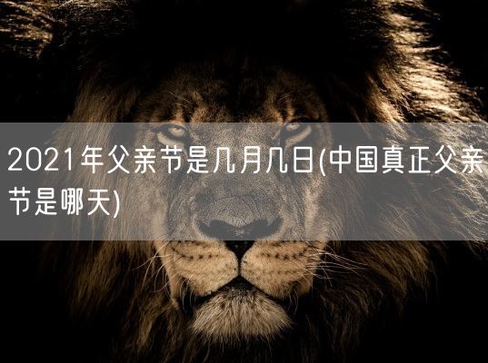 2021年父亲节是几月几日(中国真正父亲节是哪天)(图1)