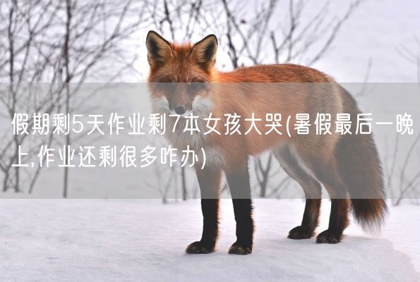 假期剩5天作业剩7本女孩大哭(暑假最后一晚上,作业还剩很多咋办)(图1)