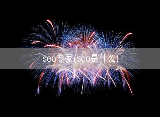 seo专家(seo是什么)(图1)