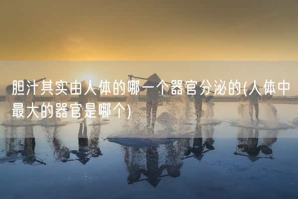 胆汁其实由人体的哪一个器官分泌的(人体中最大的器官是哪个)(图1)