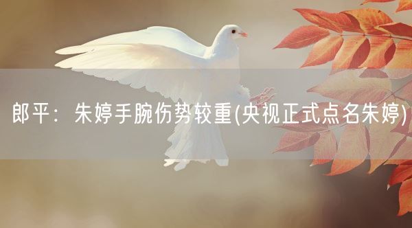 郎平：朱婷手腕伤势较重(央视正式点名朱婷)(图1)