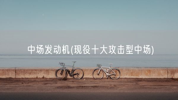 中场发动机(现役十大攻击型中场)(图1)