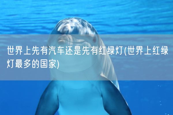 世界上先有汽车还是先有红绿灯(世界上红绿灯最多的国家)(图1)
