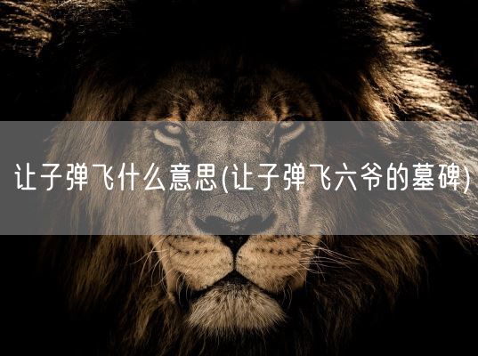 让子弹飞什么意思(让子弹飞六爷的墓碑)(图1)