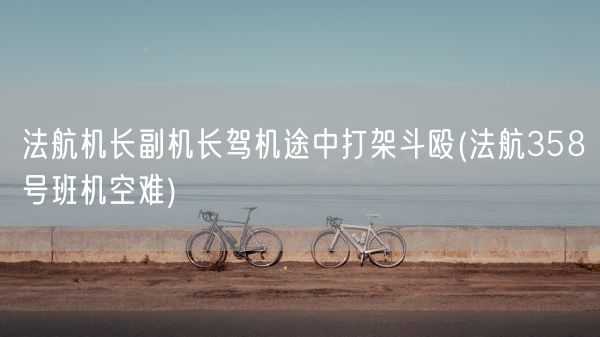 法航机长副机长驾机途中打架斗殴(法航358号班机空难)(图1)