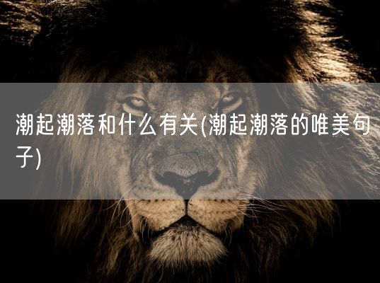 潮起潮落和什么有关(潮起潮落的唯美句子)(图1)