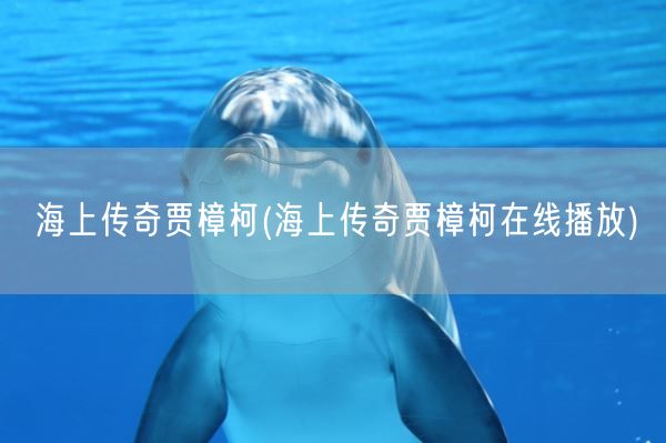 海上传奇贾樟柯(海上传奇贾樟柯在线播放)(图1)