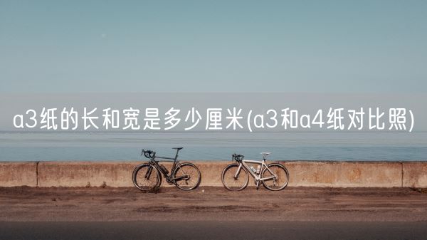 a3纸的长和宽是多少厘米(a3和a4纸对比照)(图1)