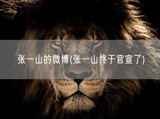 张一山的微博(张一山终于官宣了)(图1)