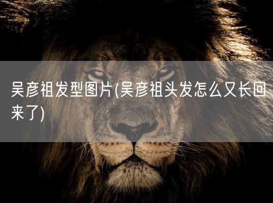 吴彦祖发型图片(吴彦祖头发怎么又长回来了)(图1)