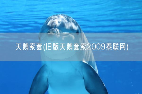 天鹅索套(旧版天鹅套索2009泰联网)(图1)