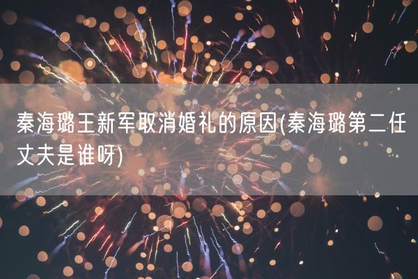 秦海璐王新军取消婚礼的原因(秦海璐第二任丈夫是谁呀)(图1)