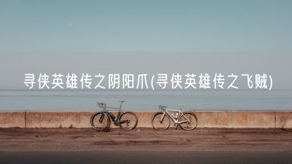 寻侠英雄传之阴阳爪(寻侠英雄传之飞贼)(图1)
