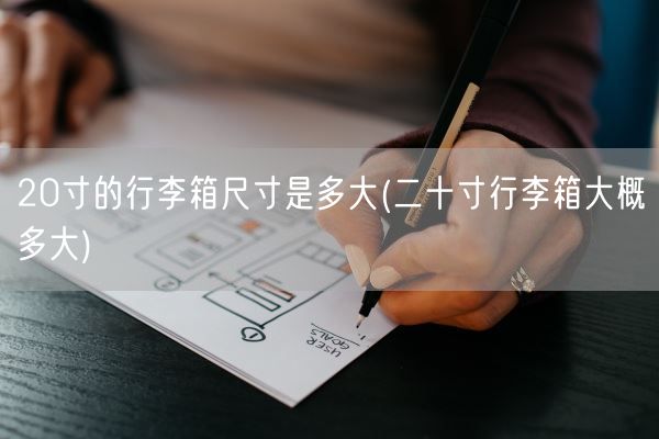 20寸的行李箱尺寸是多大(二十寸行李箱大概多大)(图1)