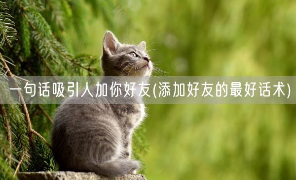 一句话吸引人加你好友(添加好友的最好话术)(图1)