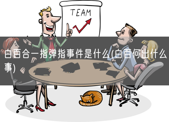 白百合一指弹指事件是什么(白百何出什么事)(图1)