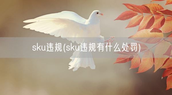 sku违规(sku违规有什么处罚)(图1)