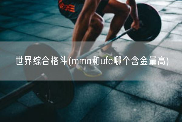 世界综合格斗(mma和ufc哪个含金量高)(图1)