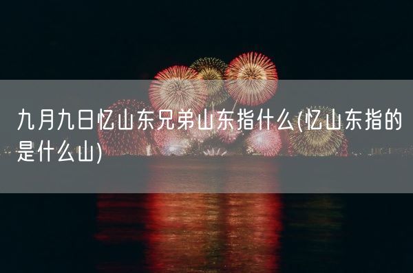 九月九日忆山东兄弟山东指什么(忆山东指的是什么山)(图1)