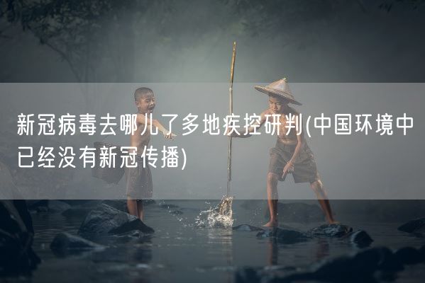 新冠病毒去哪儿了多地疾控研判(中国环境中已经没有新冠传播)(图1)