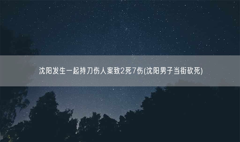 沈阳发生一起持刀伤人案致2死7伤(沈阳男子当街砍死)(图1)
