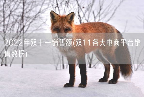 2022年双十一销售额(双11各大电商平台销售数据)(图1)