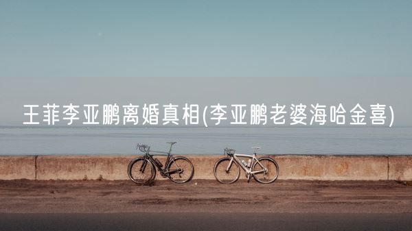 王菲李亚鹏离婚真相(李亚鹏老婆海哈金喜)(图1)