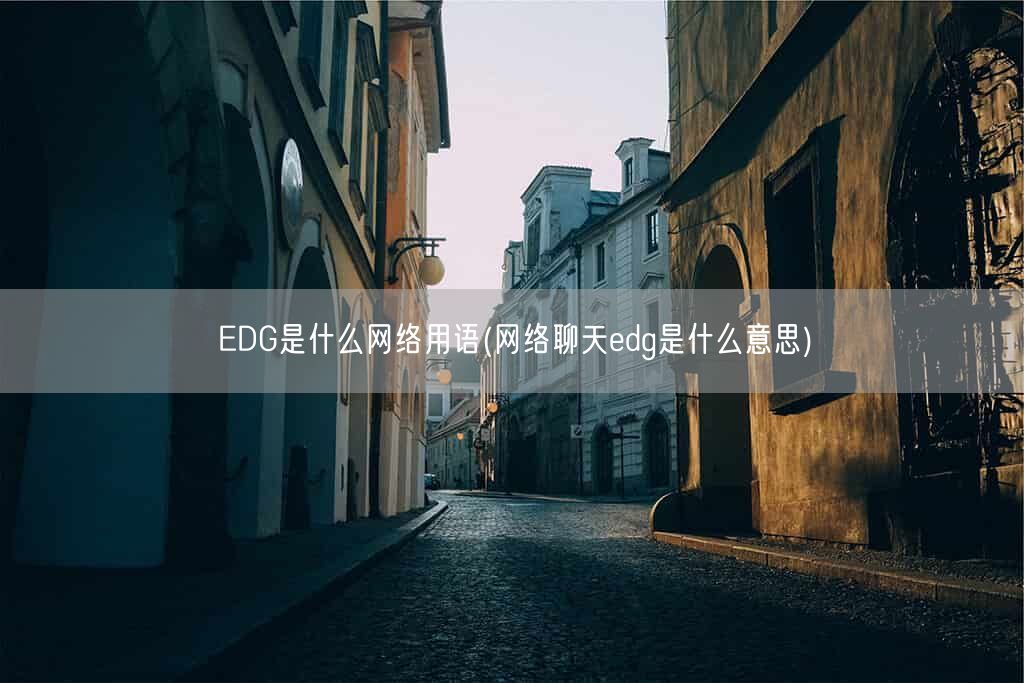 EDG是什么网络用语(网络聊天edg是什么意思)(图1)