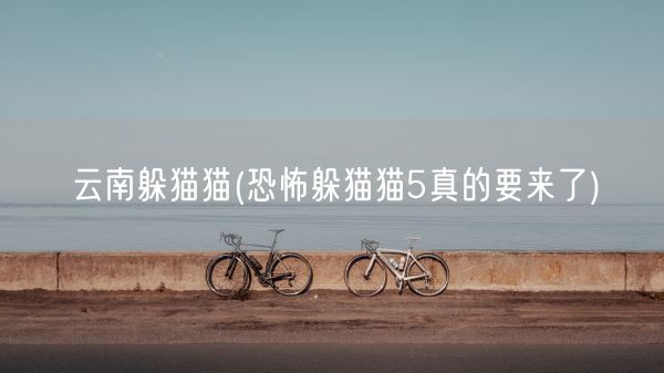 云南躲猫猫(恐怖躲猫猫5真的要来了)(图1)