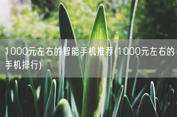 1000元左右的智能手机推荐(1000元左右的手机排行)(图1)