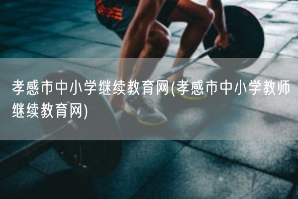 孝感市中小学继续教育网(孝感市中小学教师继续教育网)(图1)