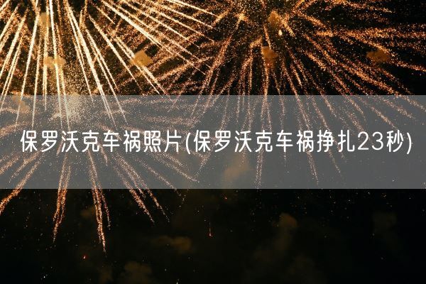 保罗沃克车祸照片(保罗沃克车祸挣扎23秒)(图1)