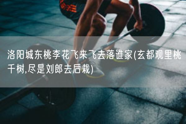 洛阳城东桃李花飞来飞去落谁家(玄都观里桃千树,尽是刘郎去后栽)(图1)