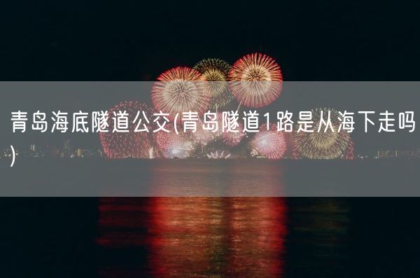 青岛海底隧道公交(青岛隧道1路是从海下走吗)(图1)