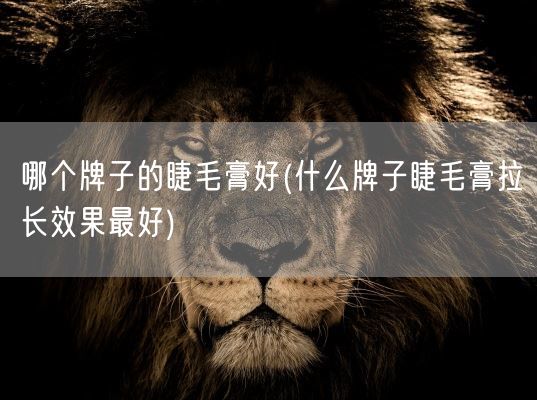 哪个牌子的睫毛膏好(什么牌子睫毛膏拉长效果最好)(图1)