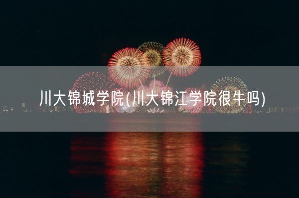 川大锦城学院(川大锦江学院很牛吗)(图1)