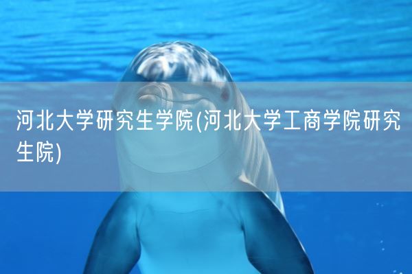河北大学研究生学院(河北大学工商学院研究生院)(图1)