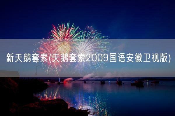 新天鹅套索(天鹅套索2009国语安徽卫视版)(图1)
