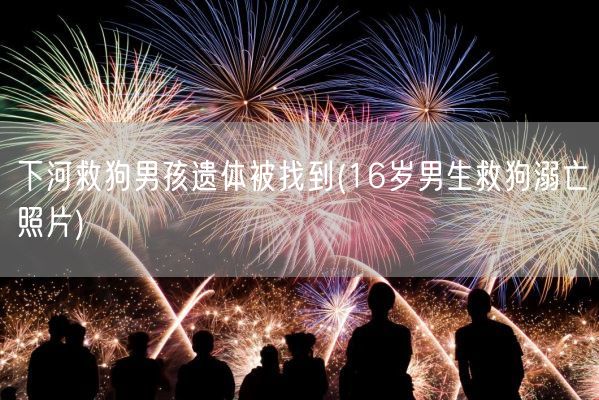 下河救狗男孩遗体被找到(16岁男生救狗溺亡照片)(图1)