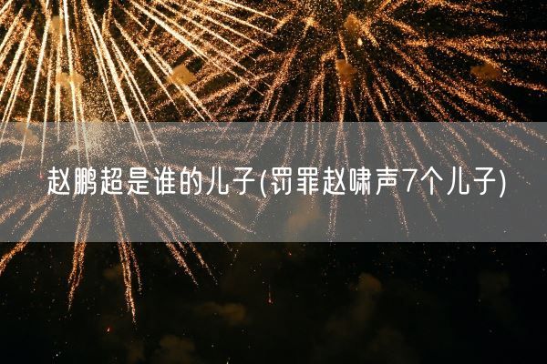 赵鹏超是谁的儿子(罚罪赵啸声7个儿子)(图1)