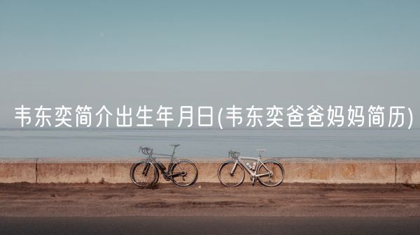 韦东奕简介出生年月日(韦东奕爸爸妈妈简历)(图1)