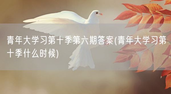 青年大学习第十季第六期答案(青年大学习第十季什么时候)(图1)